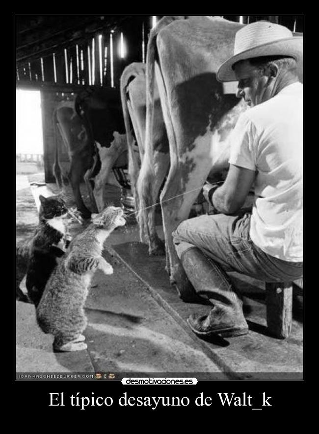 carteles desmotivaciones