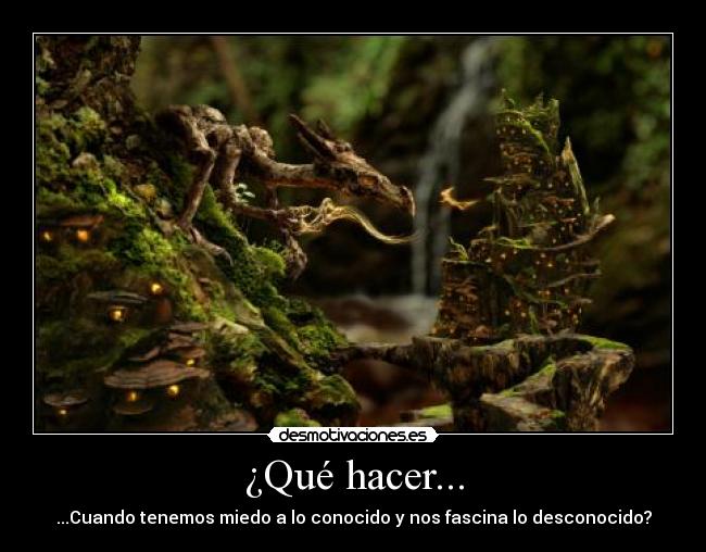 ¿Qué hacer... - 