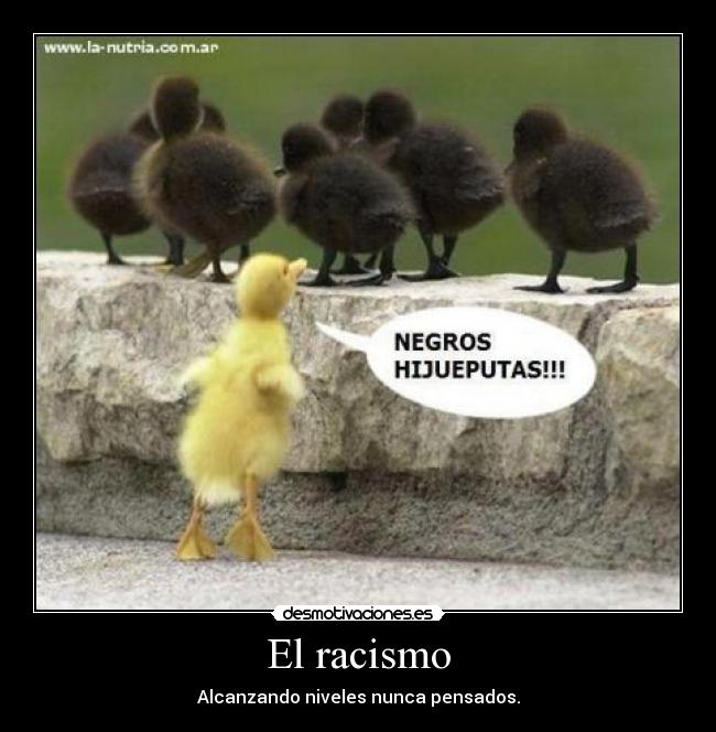 carteles pacohhh desmotivaciones