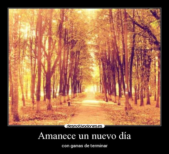 Amanece un nuevo día -