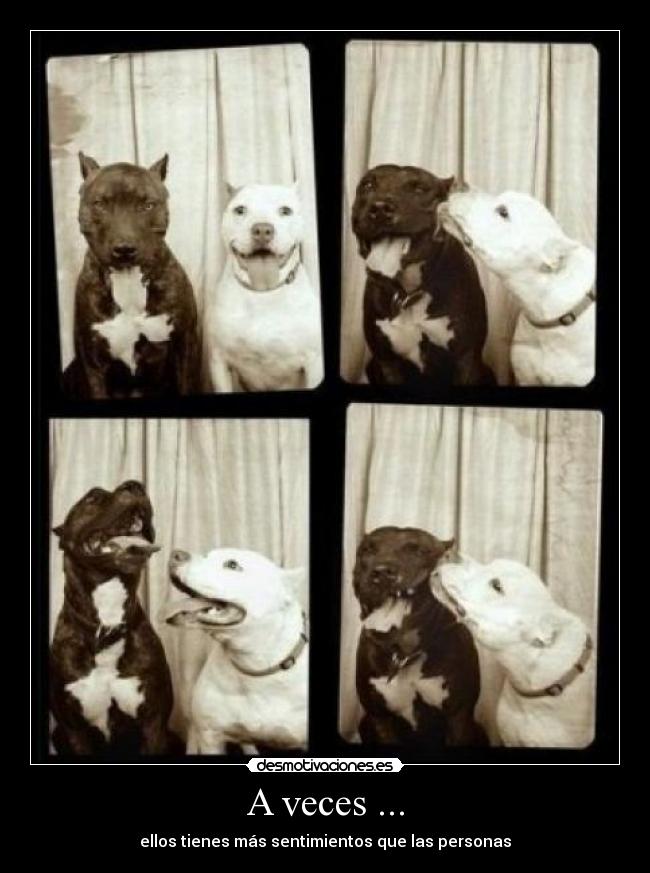 A veces ... - 