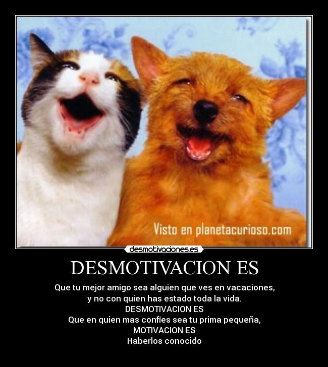 DESMOTIVACION ES - Que tu mejor amigo sea alguien que ves en vacaciones,
y no con quien has estado toda la vida.
DESMOTIVACION ES
Que en quien mas confíes sea tu prima pequeña,
MOTIVACION ES
Haberlos conocido