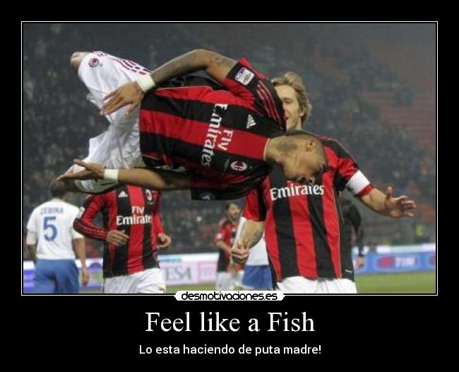 Feel like a Fish -