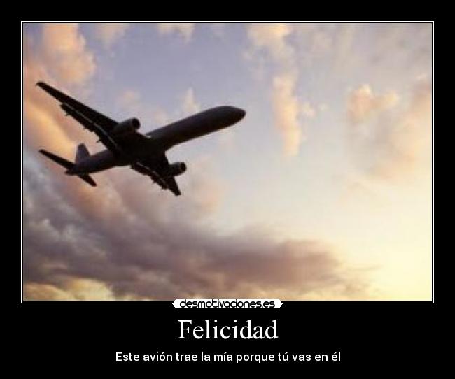 carteles felicidad felicidad tu avion desmotivaciones