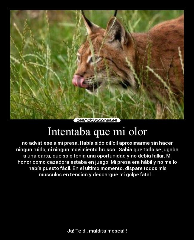 Intentaba que mi olor - no advirtiese a mi presa. Había sido difícil aproximarme sin hacer
ningún ruido, ni ningún movimiento brusco.  Sabia que todo se jugaba
a una carta, que solo tenia una oportunidad y no debía fallar. Mi
honor como cazadora estaba en juego. Mi presa era hábil y no me lo
había puesto fácil. En el ultimo momento, dispare todos mis
músculos en tensión y descargue mi golpe fatal....








Ja! Te di, maldita mosca!!!