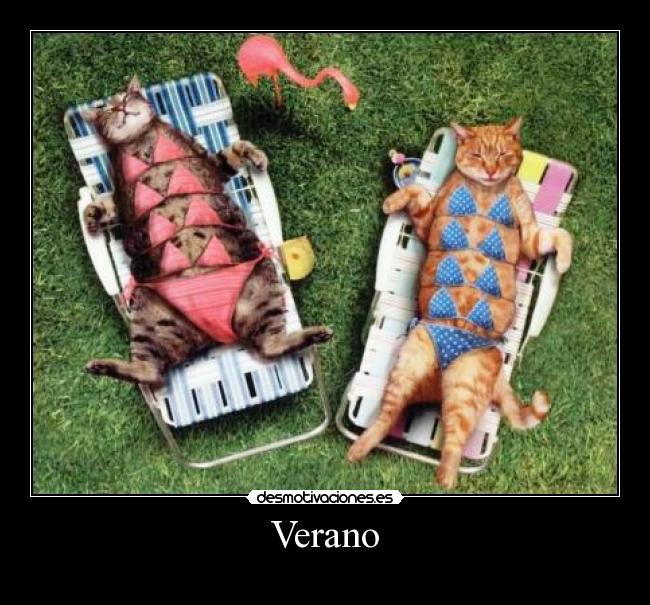 carteles verano verano desmotivaciones