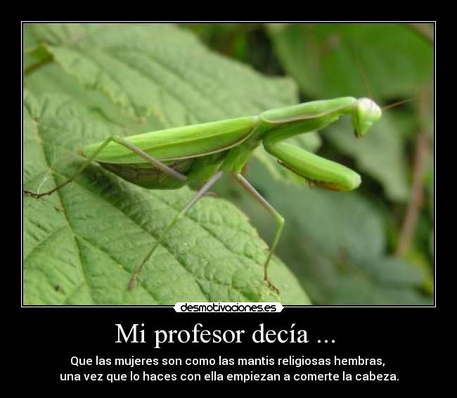 Mi profesor decía ... -