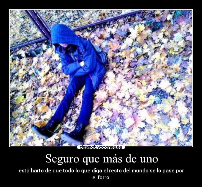 Seguro que más de uno - está harto de que todo lo que diga el resto del mundo se lo pase por el forro.