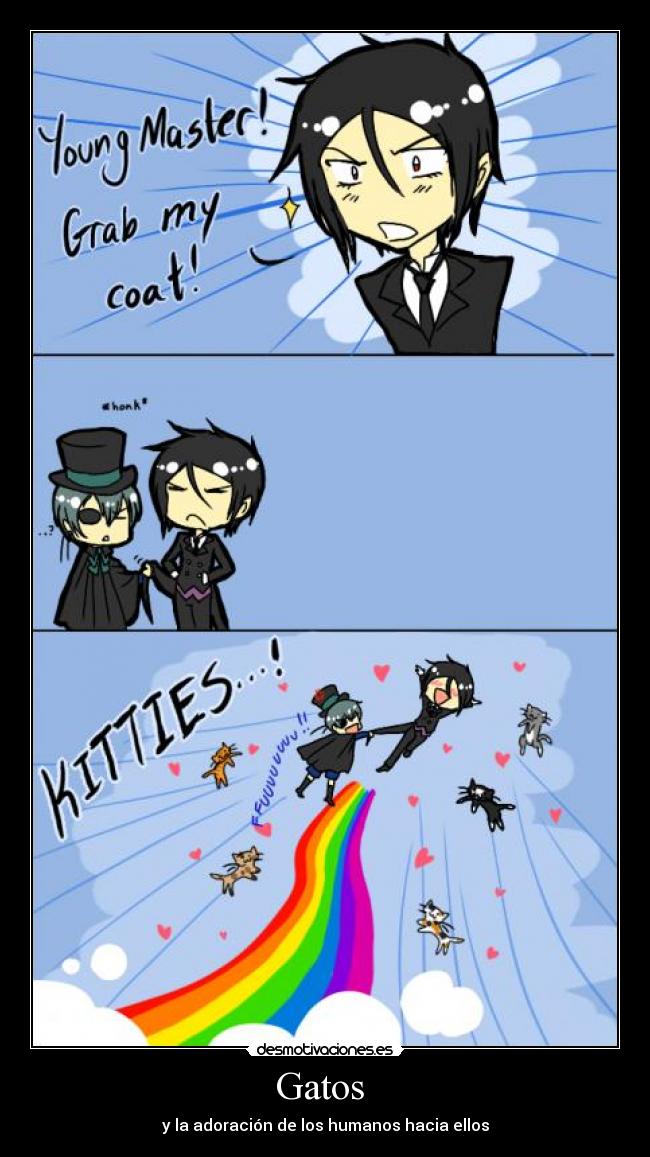 Gatos - y la adoración de los humanos hacia ellos