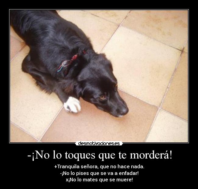 -¡No lo toques que te morderá! - 