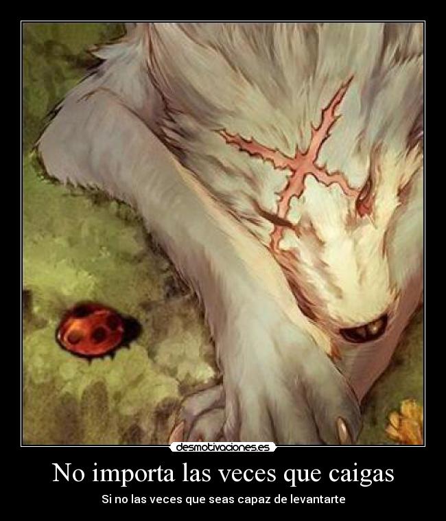 No importa las veces que caigas - 