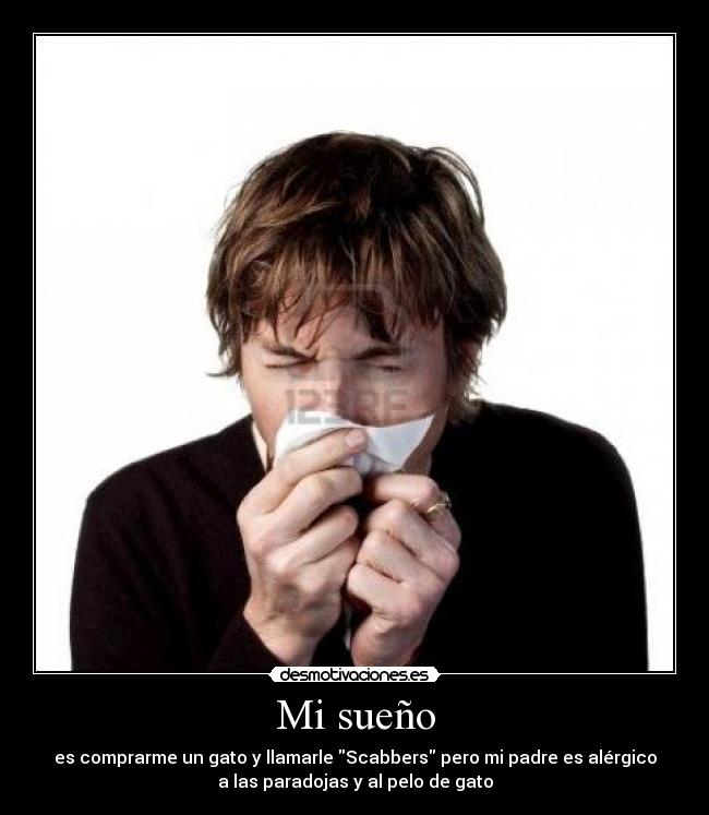 Mi sueño - es comprarme un gato y llamarle Scabbers pero mi padre es alérgico
a las paradojas y al pelo de gato