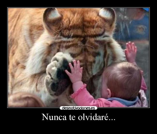 carteles desmotivaciones