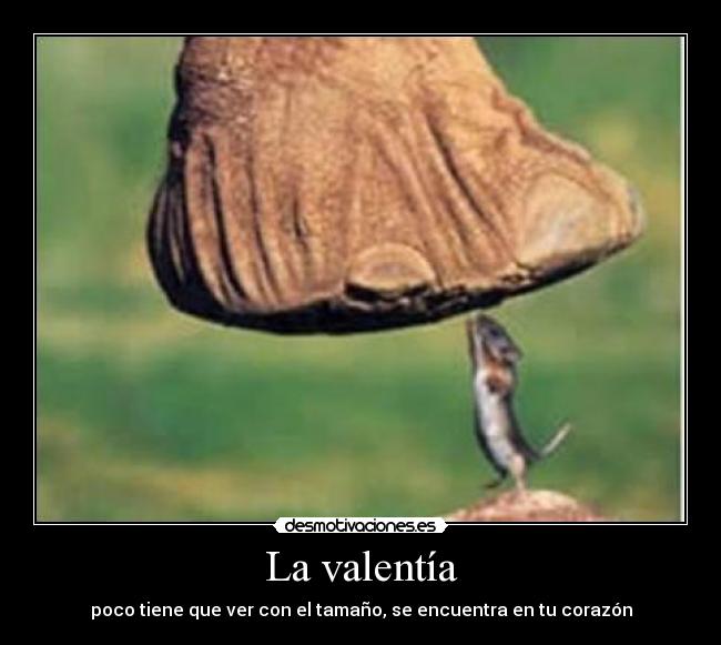 La valentía -