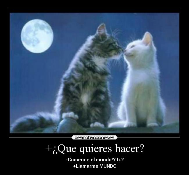 +¿Que quieres hacer? - -Comerme el mundo!Y tu?
+Llamarme MUNDO