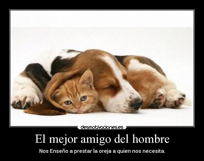 El mejor amigo del hombre -