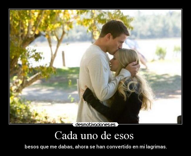 carteles tequiero desmotivaciones