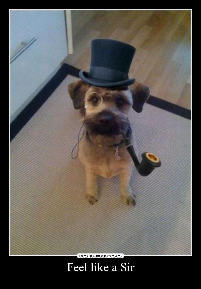 Feel like a Sir - 