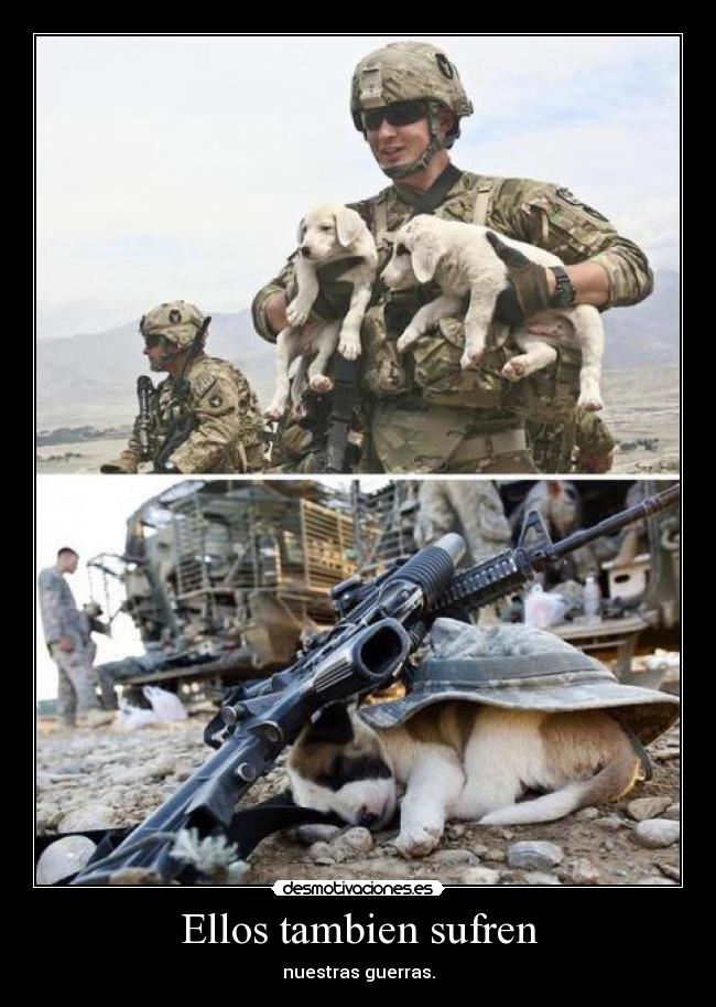 carteles flipy89 sufren guerras desmotivaciones