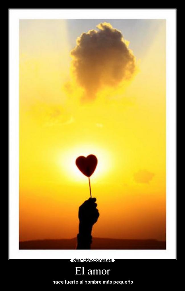El amor - 
