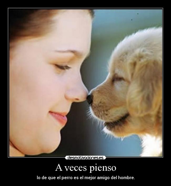 A veces pienso - lo de que el perro es el mejor amigo del hombre.