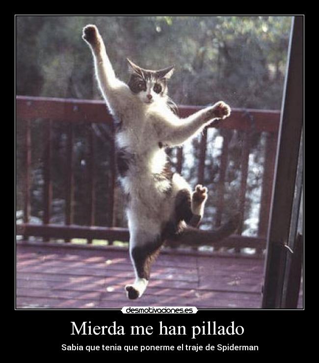 Mierda me han pillado  - Sabia que tenia que ponerme el traje de Spiderman