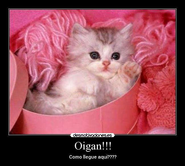 Oigan!!! - Como llegue aqui????