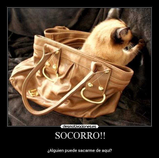 SOCORRO!! -
¿Alguien puede sacarme de aquí?