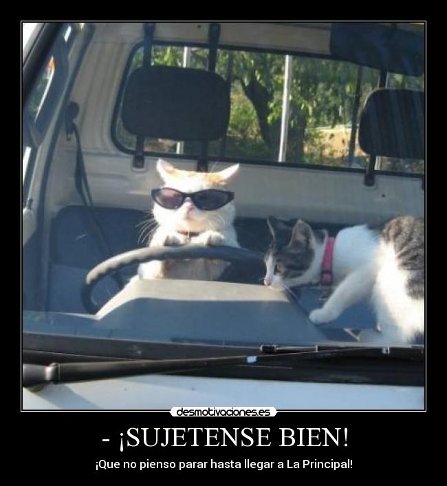 - ¡SUJETENSE BIEN! -