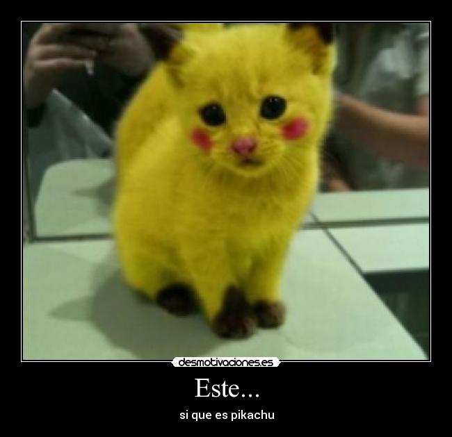 Este... - si que es pikachu