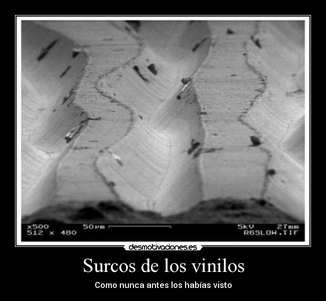 carteles vinilo desmotivaciones