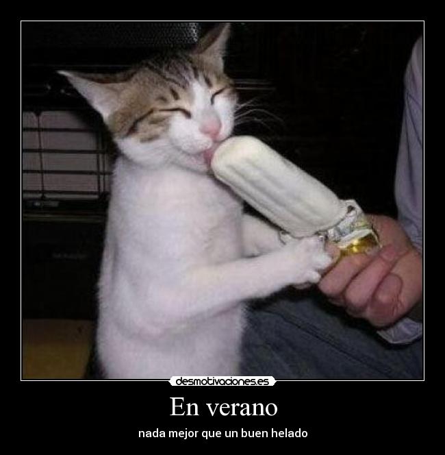 carteles verano verano desmotivaciones