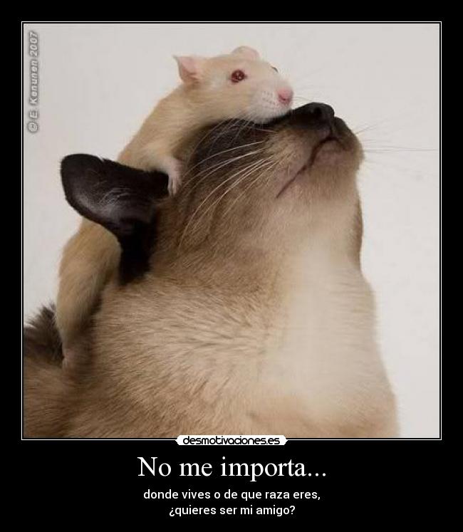 No me importa... -
