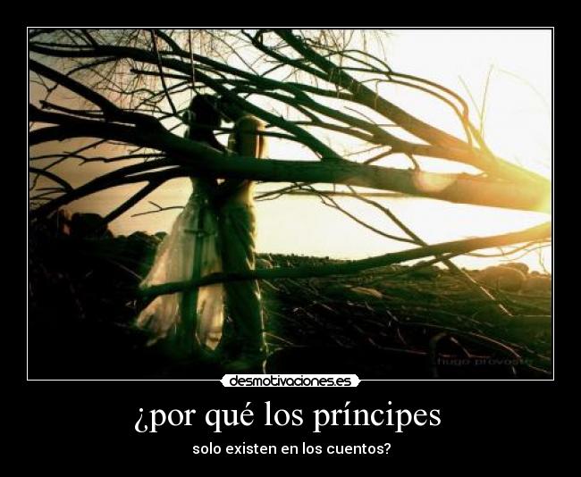 ¿por qué los príncipes  - solo existen en los cuentos?