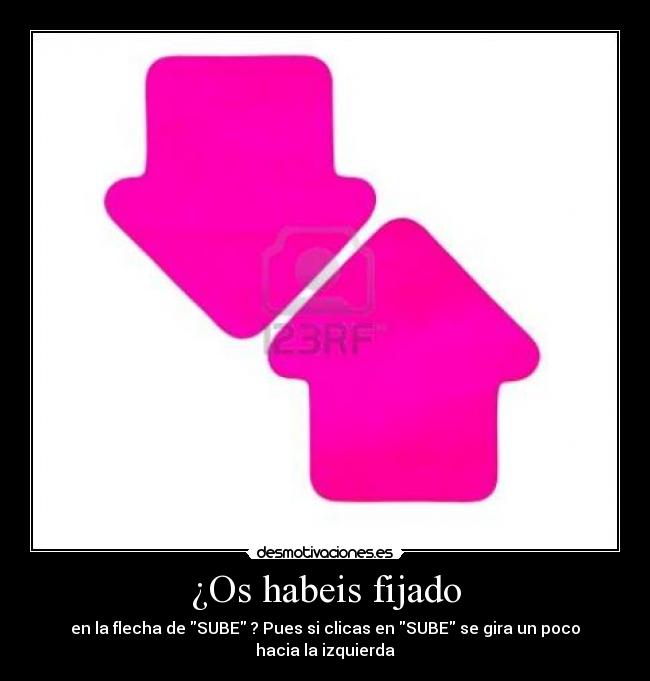 ¿Os habeis fijado -