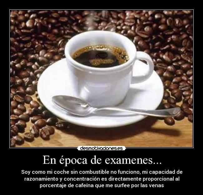 En época de examenes... - 