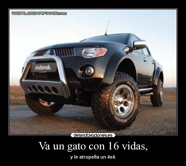Va un gato con 16 vidas, - y le atropella un 4x4.