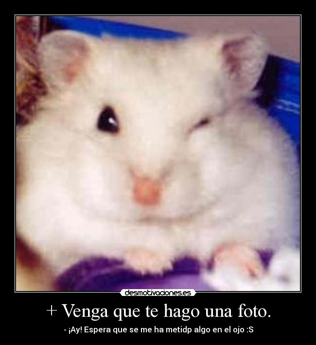 + Venga que te hago una foto. - - ¡Ay! Espera que se me ha metidp algo en el ojo :S