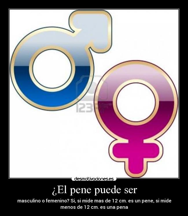 ¿El pene puede ser - 