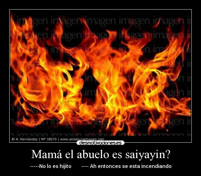 Mamá el abuelo es saiyayin? - -----No lo es hijito ---- Ah entonces se esta incendiando