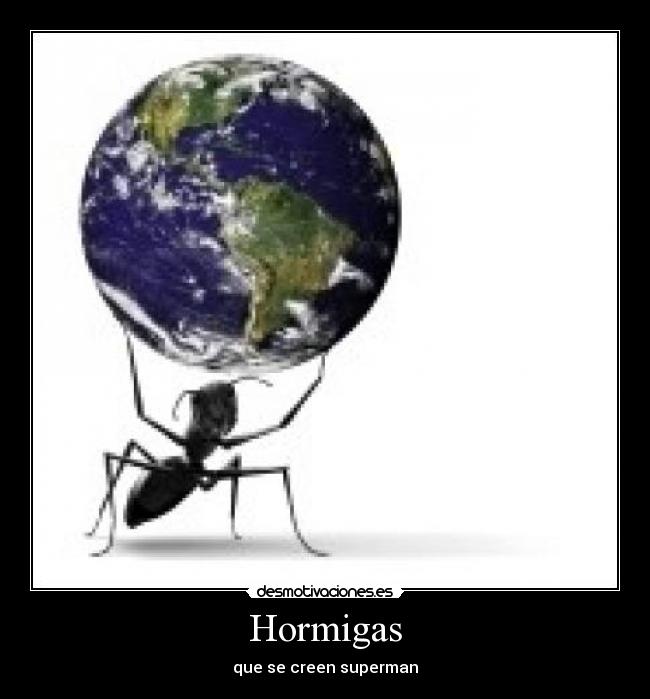 Hormigas - 