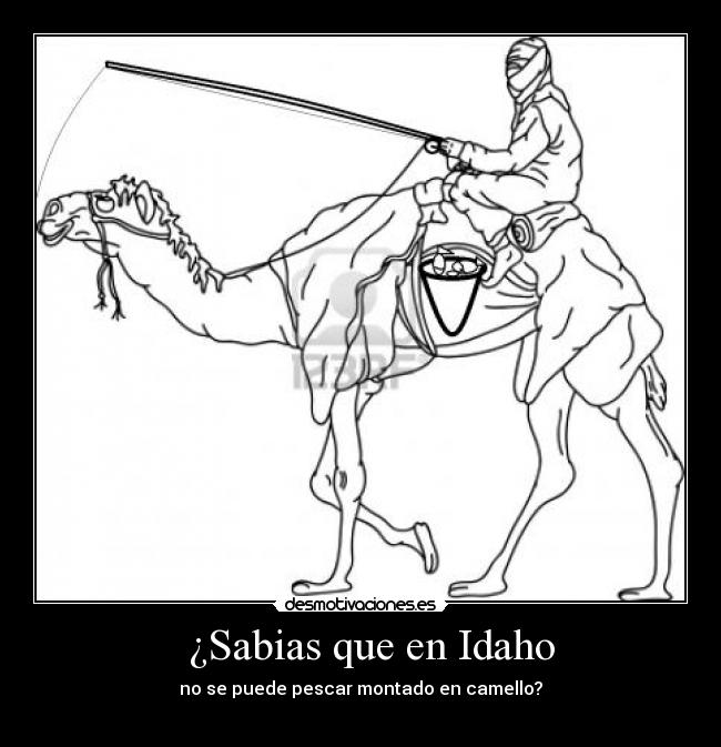 ¿Sabias que en Idaho - no se puede pescar montado en camello?