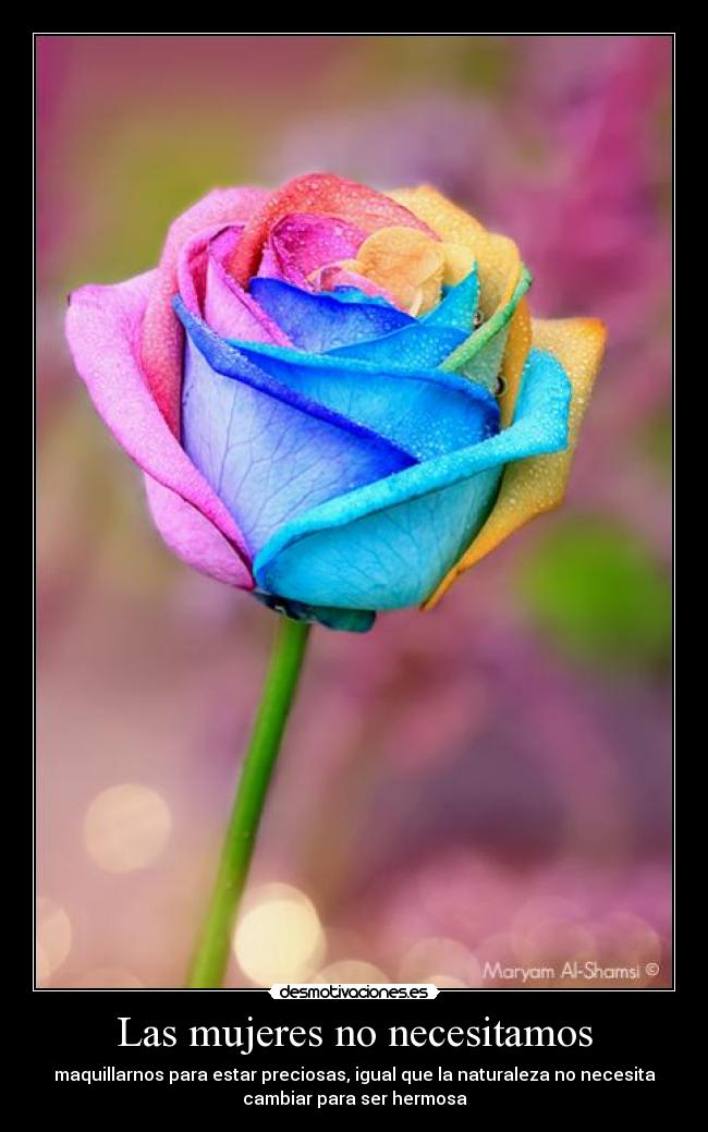 Las mujeres no necesitamos - maquillarnos para estar preciosas, igual que la naturaleza no necesita
cambiar para ser hermosa