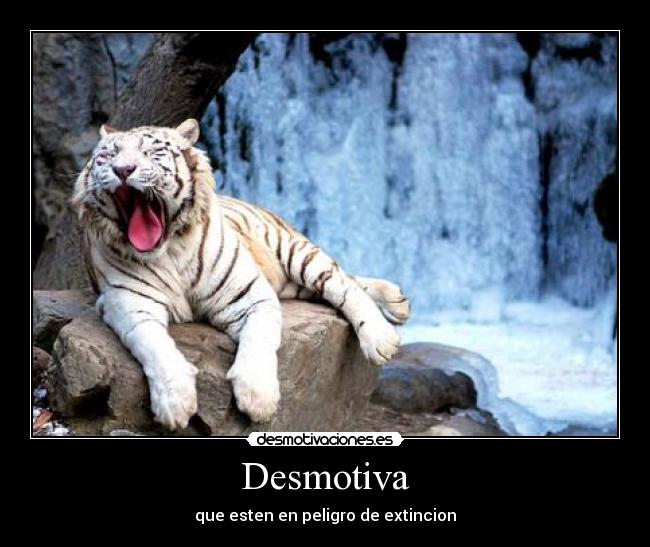 Desmotiva -