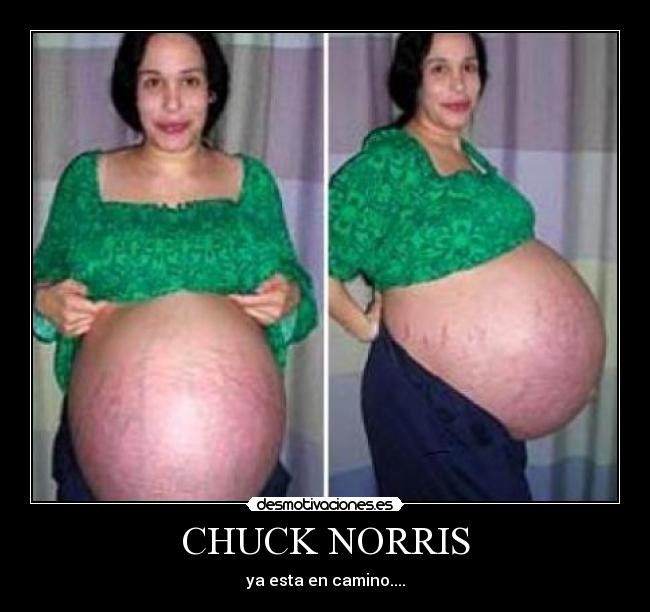 CHUCK NORRIS - ya esta en camino....