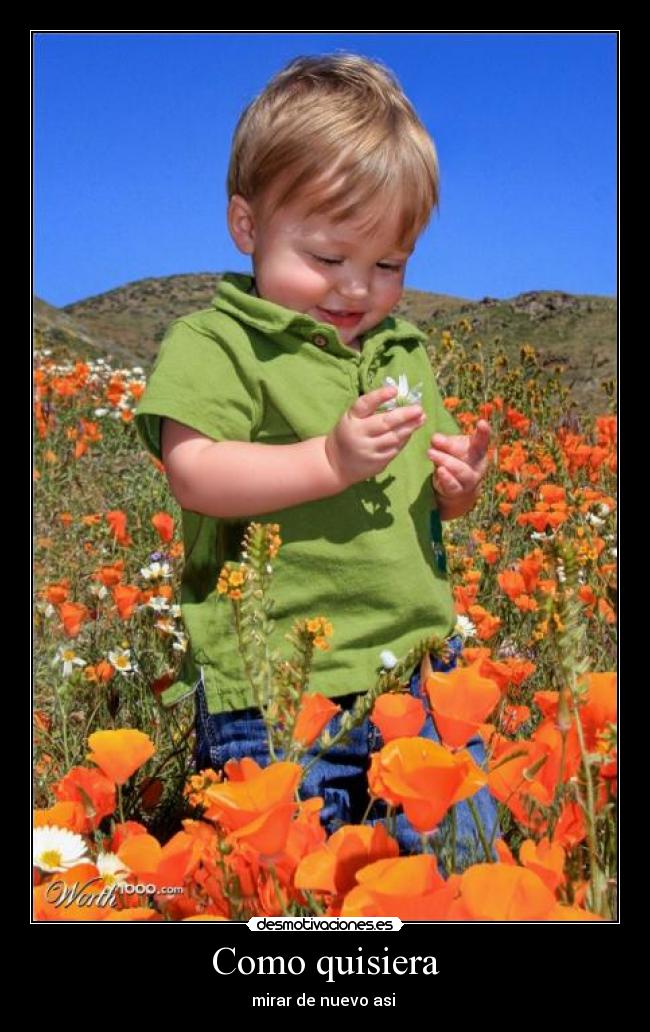 Como quisiera -