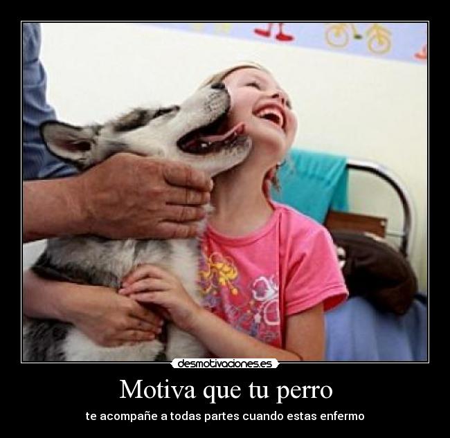 Motiva que tu perro -