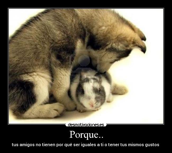 Porque.. - 