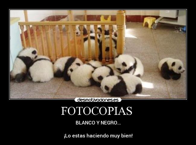FOTOCOPIAS  - 
