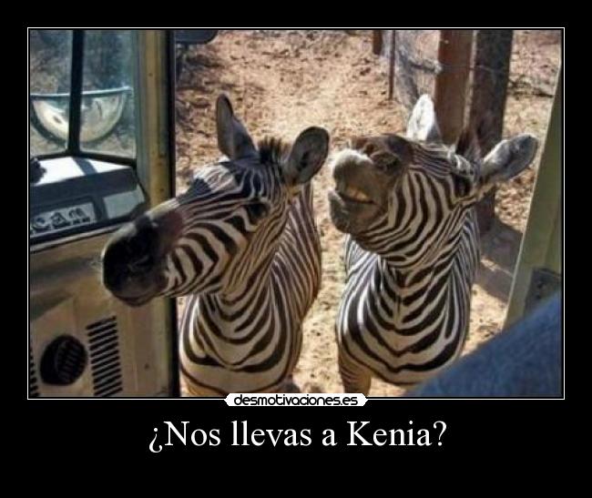 ¿Nos llevas a Kenia? -